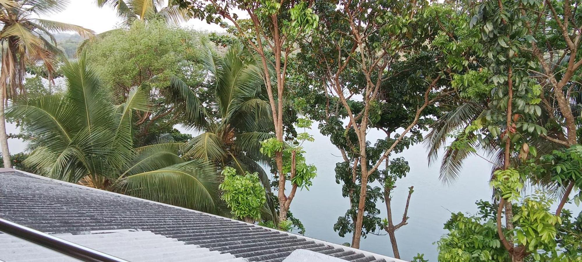 The Green Lagoon Villa Hikkaduwa Eksteriør bilde